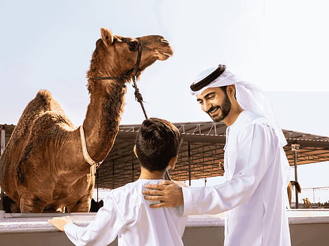 Every year on 22 June, World Camel Day shines a spotlight on an animal that has helped shape life across the Middle East for centuries.