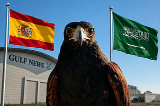 Shawk the hawk has got 5 of his 6 predictions right; Next up Spain vs Saudi Arabia