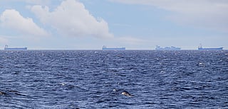 The International Maritime Organisation (IMO) has announced an evacuation plan for thousands of seafarers in the Strait of Hormuz. The mass transit operation aims to ease the mental strain on the stranded seafarers, have endured considerable uncertainty, depleted supplies and severe fatigue during the blockade. The UN agency paid tribute to the 14 seafarers who lost their lives in the conflict prior to the de-escalation.