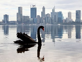  Australia is checking for any sign of "entrenched" H5 bird flu in its wildlife after detecting the country's first two cases, the government said.
