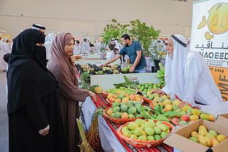 Expanded festival space boosts trade, agri-entrepreneurship and tourism