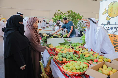 Expanded festival space boosts trade, agri-entrepreneurship and tourism