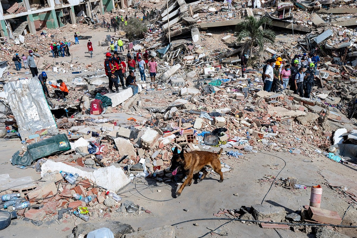 A rescue dog from the Argentine search and rescue team search for bodies in the rubble of a collapsed building in Caraballeda, La Guaira state, Venezuela, on June 28, 2026, following twin earthquakes.