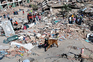 A rescue dog from the Argentine search and rescue team search for bodies in the rubble of a collapsed building in Caraballeda, La Guaira state, Venezuela, on June 28, 2026, following twin earthquakes.