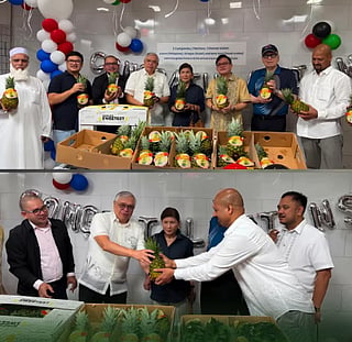 The shipment consists of 1,500 boxes of fresh MD2 pineapples weighing a total of 18 tonnes sourced from pineapple farms in Tampakan, South Cotabato