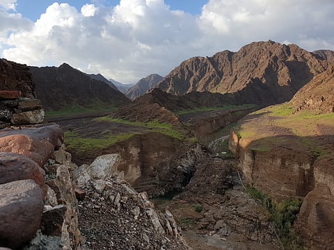 Wadi Wurayah Fujairah