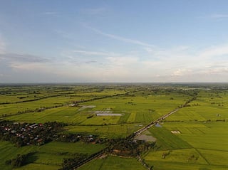 How Samsons Group changed farming in Pakistan