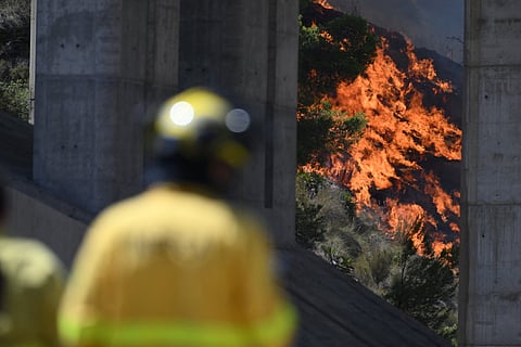 Firefighters of the Infoca (Andalusia Wildfire Service) monitor a fire in the area of a wildfire that killed 11 near Bedar, in Los Gallardos district, in Almeria Province, on July 10, 2026.