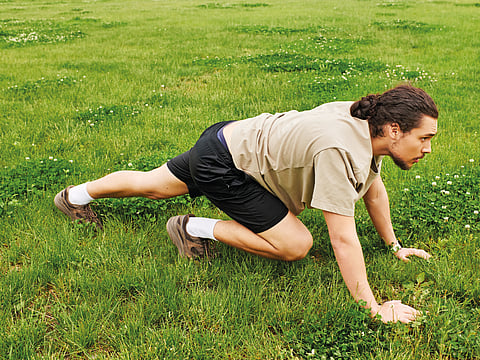 Bear crawl