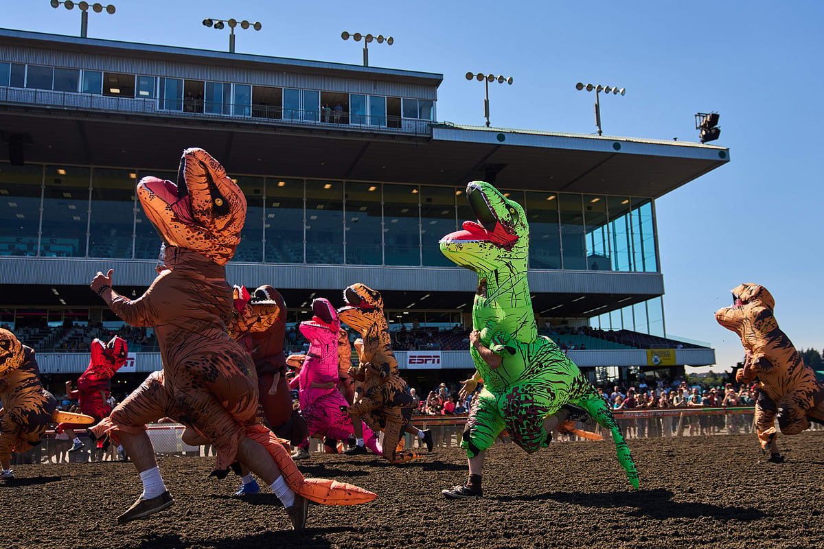 Thousands cheer as dinosaur costumes turn serious sprint into slapstick race