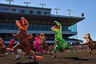 Thousands cheer as dinosaur costumes turn serious sprint into slapstick race