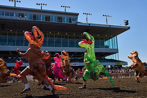 Thousands cheer as dinosaur costumes turn serious sprint into slapstick race