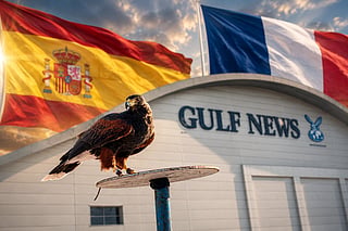 Shawk the hawk predicts Spain vs France