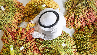 The UAE's biggest date festival returns with competitions, markets and cultural events.