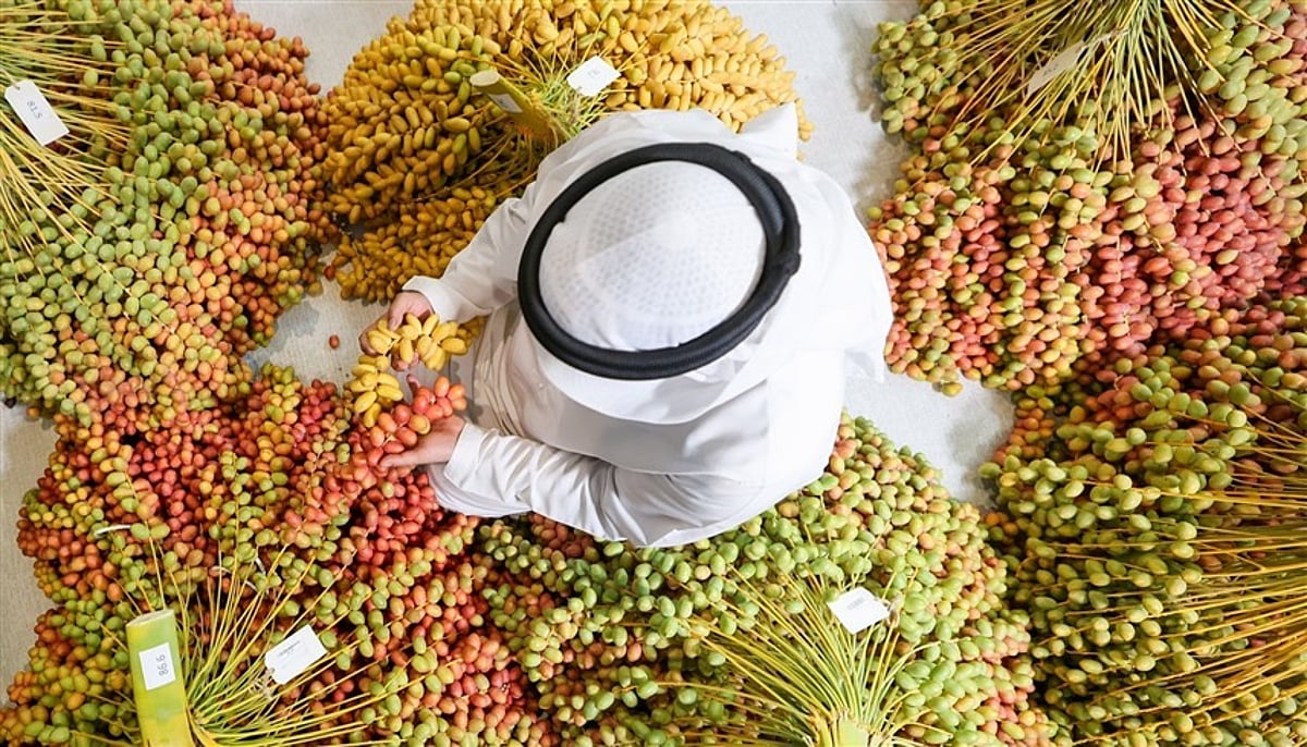 Liwa Date Festival returns with Dh8 million in prizes for UAE farmers