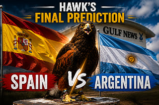 Shawk the Hawk's final prediction 