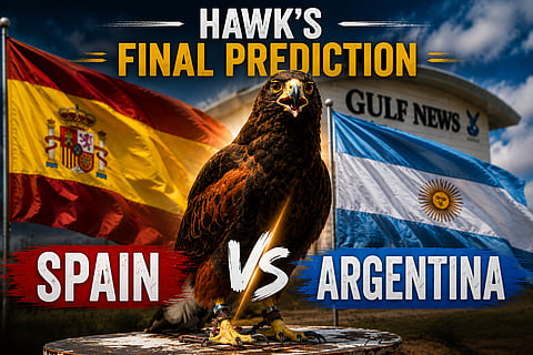 Shawk the Hawk's final prediction 