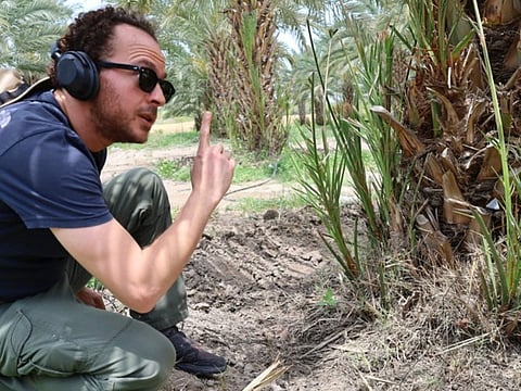 My Business: Millions of date palms were dying. This founder built AI to find the threat