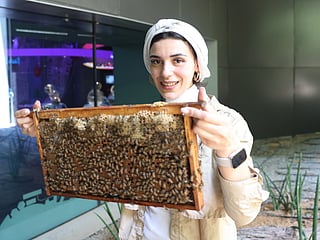 Meeting Dr. Mammal's hives at the Jane Goodall Pollinator Garden we saw how she handles her bees, all without a suit of course.