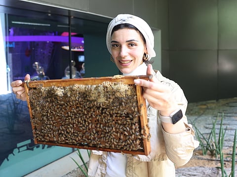 Meeting Dr. Hammal's hives at the Jane Goodall Pollinator Garden we saw how she handles her bees, all without a suit of course.