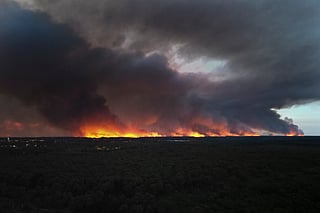 France wildfire leaves Gironde forest blackened