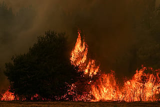 This photograph shows a wooden area engulfed in flames in Marcheprime, west of Bordeaux on July 26, 2026 as a wildfire has been ravaging the forest north of the Arcachon Basin (Gironde) since July 22.