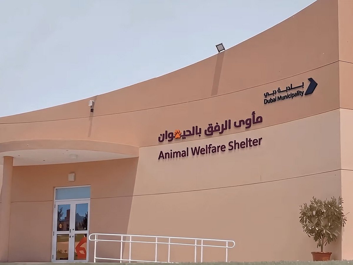 The Animal Welfare Shelter, a new integrated pet shelter opened at the Birds and Pets Market in the Warsan area, expanding the emirate's veterinary services while promoting animal welfare, responsible pet ownership and adoption.