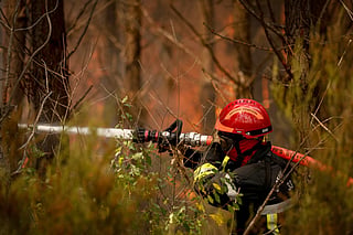 A firefighter sprays water on a wildfire in a forest near Marcheprime, some 30km from Bordeaux, on July 26, 2026.