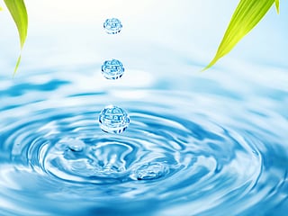 Saudi Arabia names 2027 the Year of Water