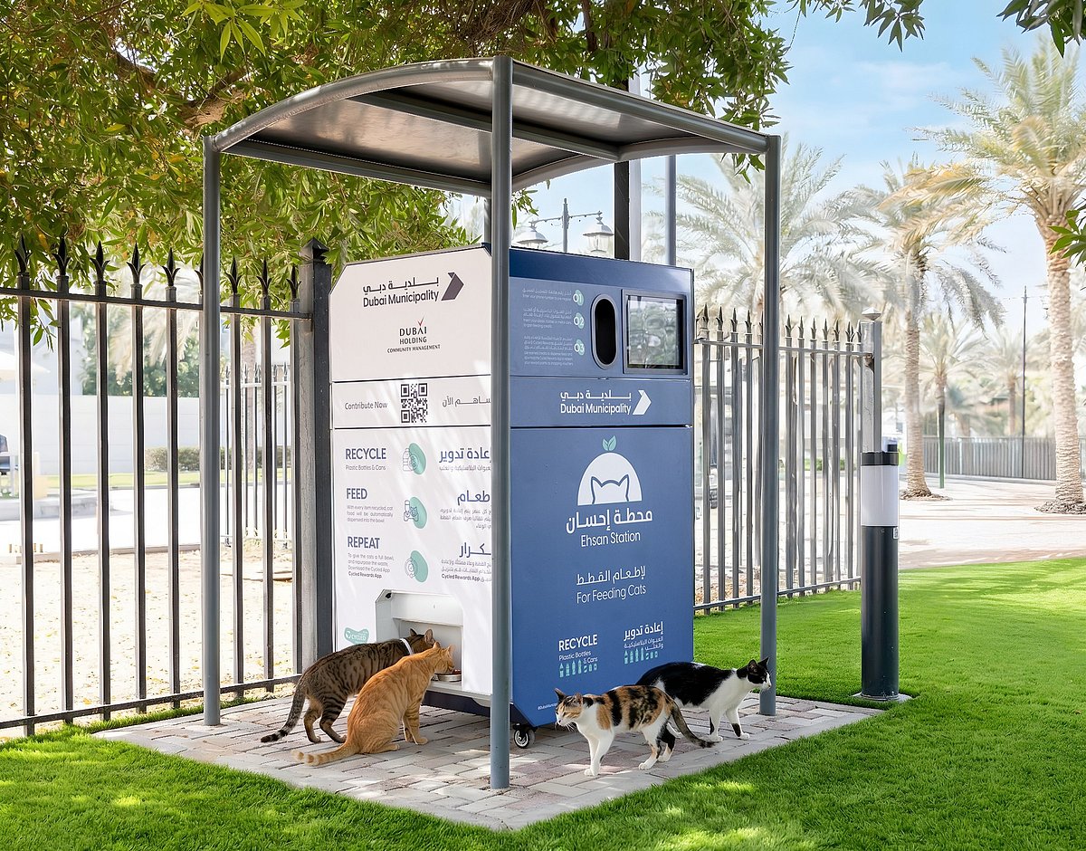 Dubai Introduces Smart Feeding Stations for Stray Cats