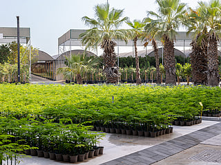 The 'Al Freej Gardener' initiative will make it easier for residents to book trusted gardening professionals through the Careem app.