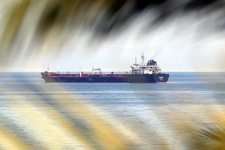 Yemen condemns Houthi attack on Indian cargo vessel in Red Sea (File Image)