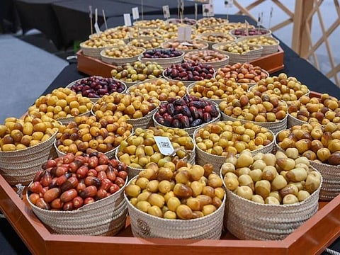 The inaugural event welcomed dozens of farmers, hundreds of harvest baskets and crowned the winners of the Largest Date Bunch competition.