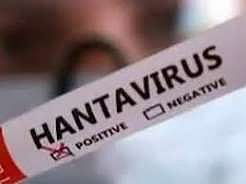 Rare hantavirus case confirmed in European traveller