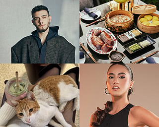From concerts, food, to cats, here is your weekend round-up.