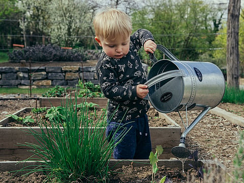 Gardening may appear to be an old-fashioned pastime but hidden beneath its simplicity are some of life’s most enduring lessons.
