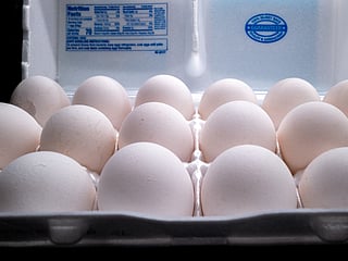  UAE markets are free of US-recalled eggs linked to salmonella fears, reassuring consumers after thorough food safety checks and import reviews.