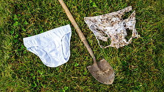 The more the cotton disappeared, the more active the microscopic life beneath the ground.