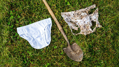 The more the cotton disappeared, the more active the microscopic life beneath the ground.