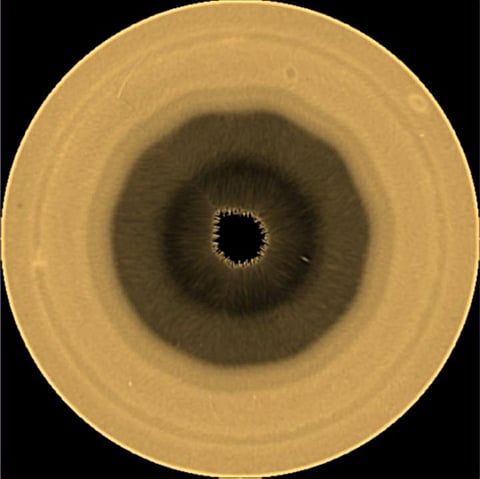 A pattern of clouds around the Saturn's south pole.