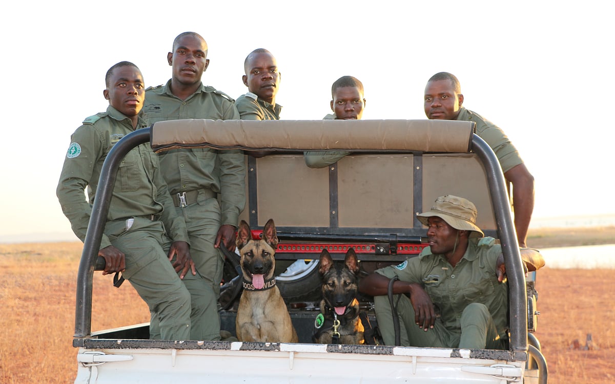 Vega and Kuda supporting rangers at Matusadona National Park