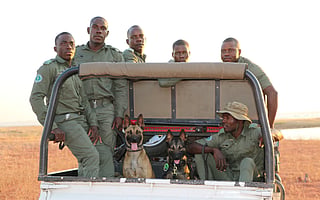 Vega and Kuda supporting rangers at Matusadona National Park