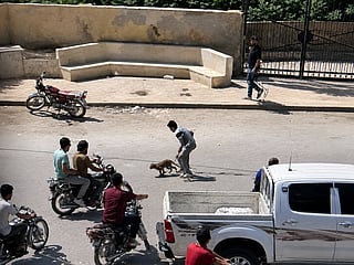 Three escaped monkeys injure residents in Syria’s Idlib province city of Salqin, sparking fear as authorities race to track and capture the animals.