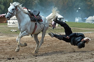 A participant falls while taking part in the horse-riding competition during the World Nomad Games in Kyrchyn Gorge, 240 km (150 miles) southeast of Bishkek, Kyrgyzstan, 