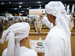 From Arabian horses and falcons to cybersecurity workshops, the ADIHEX 2026 offers something for everyone.