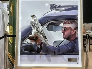 Striking Sheikh Mohamed artwork draws ADIHEX crowds