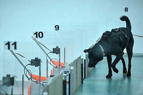 This photograph taken on July 28, 2026 shows a dog taking part in a cancer detection test inside a laboratory at the Dognosis facility in Kempohalli village on the outskirts of Bengaluru.