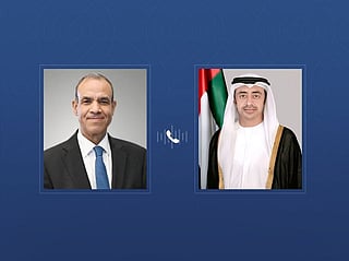 Abdullah bin Zayed, Egyptian counterpart discuss coordination on regional crises