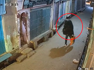 Thief steals 10kg of gold in eight-hour heist