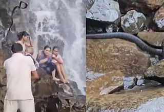 A large snake falls from above as a family enjoys an outing at Amboli Waterfall in Maharashtra, before slithering away across the rocks.